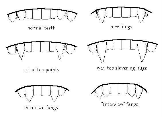 431331_10150585175367078_413475047_n